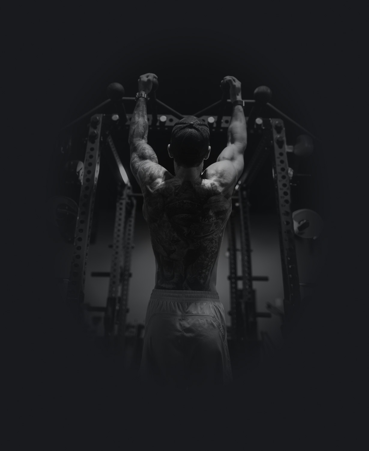 American Stallion Training